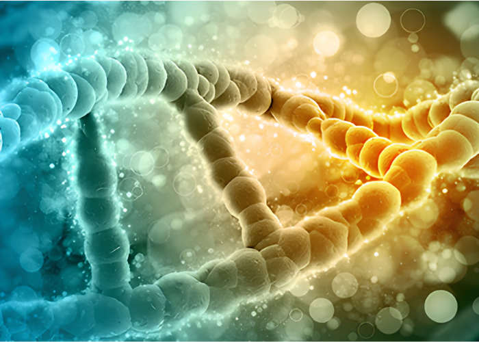 BNCC Culture Media & Reagents
