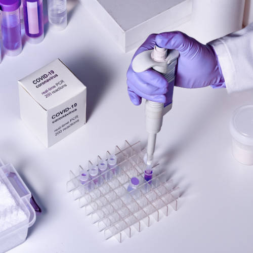 Molecular Detection Kits