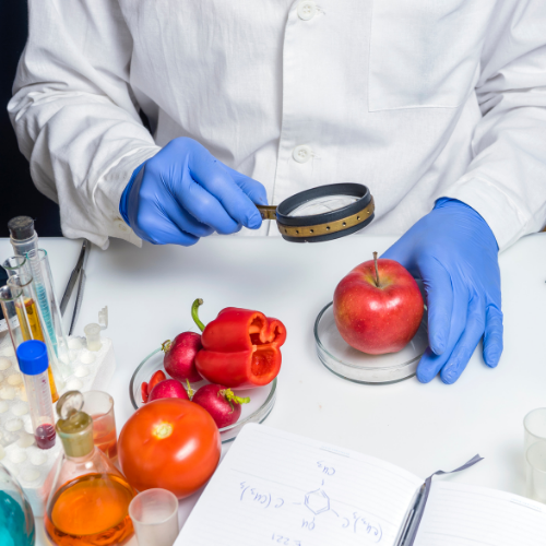 Food Safety Detection Kits
