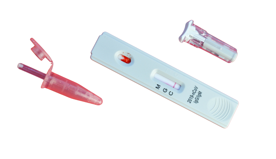 BNCC Detection Kit