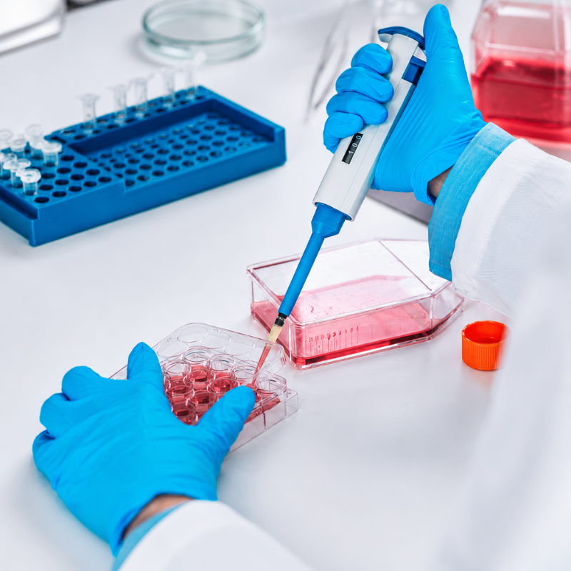 BNCC Genomic DNA vials