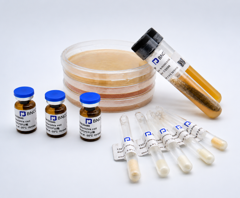 BNCC microbial strains - culture plate and vials