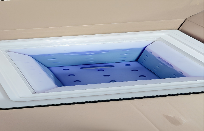 Dry ice shipping container for biological samples