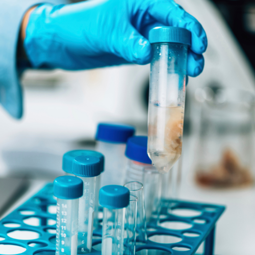 Microbiology QC Products