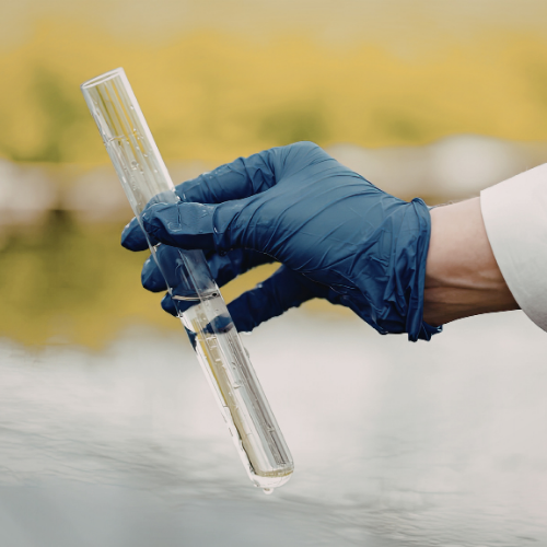 Immunoassay Controls