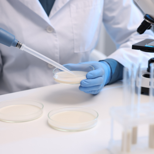 BNCC quality control products