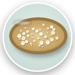 DirectPlate