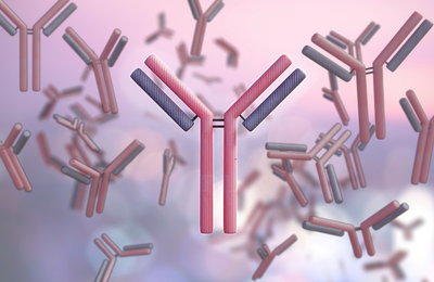 Antibody Detection & Virology