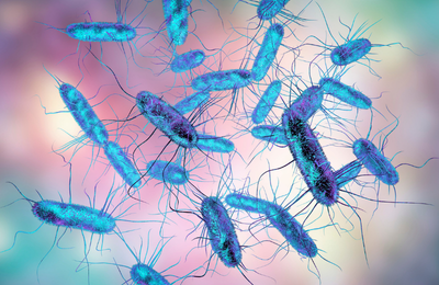 Bacteriology & Microbiology