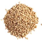 barley