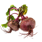 beetroot