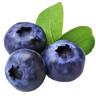 blueberry