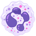 All Cell Lines