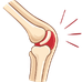Musculoskeletal System