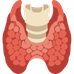 Endocrine System
