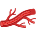 Vascular & Endothelial Cells