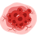 Cancer / Tumor Cells