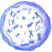 Stem Cells & Progenitor Cells
