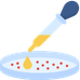 Embryonic & Development Cells