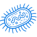 Immortalized & Modified Cell Lines