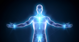 Human