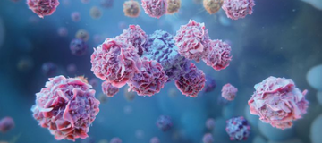 Intestinal Organoids