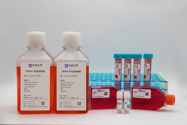 BNCC microbial strains - culture plate and vials
