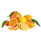 citrus