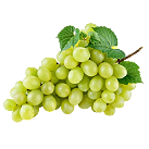 grape