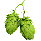 hops