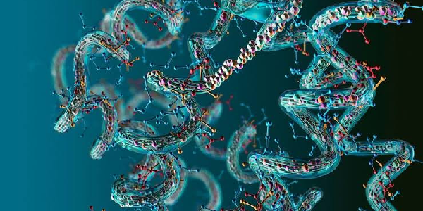 Antigens & Recombinant Proteins