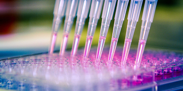 Molecular Reagents