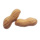 peanut