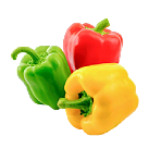 pepper
