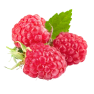 raspberry