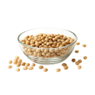 soybean